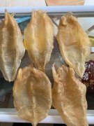 鱼胶有什么好处 月子吃鱼胶有什么好处