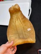 阿胶男人可以吃吗 效果怎么样 阿胶男人能吃吗