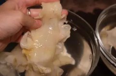 哪种鱼胶比较贵 哪种鱼胶比较贵一些