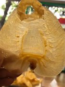 燕窝和燕角有什么区别 燕窝和燕碎的区别