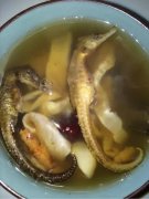 本港赤嘴鱼胶图片 本港赤嘴公胶