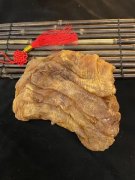 木瓜炖燕窝的做法与吃法 木瓜炖燕窝的做法视频