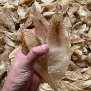 花胶一般泡多长时间最好 花胶一般泡多长时间最好喝