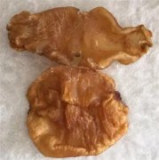 花胶菌菇汤的做法 花胶菌菇汤的做法窍门