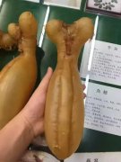 鱼胶的品种及功效 鱼胶的品种及功效与作用