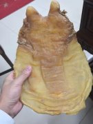 盐爆鱼胶还有滋补价值吗 盐爆鱼胶还有滋补价值吗视频