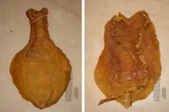 富肽美牛骨胶原蛋白肽 富肽美牛骨胶原蛋白肽治疗湿气吗