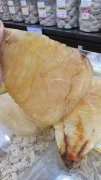 椰子炖燕窝做法大全 