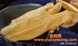 鱼胶的做法与功效