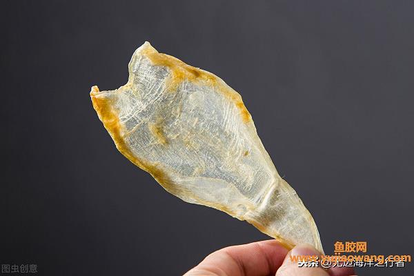 黄花鱼胶和鳘鱼胶哪个好