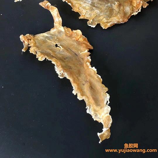 鳕鱼胶是花胶中差的吗