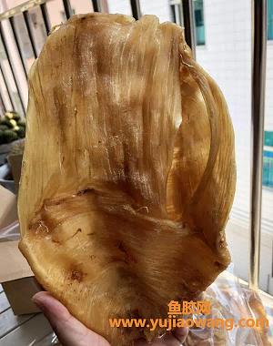 白花胶和黄花胶的功效一样吗